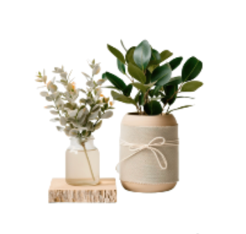 Decor